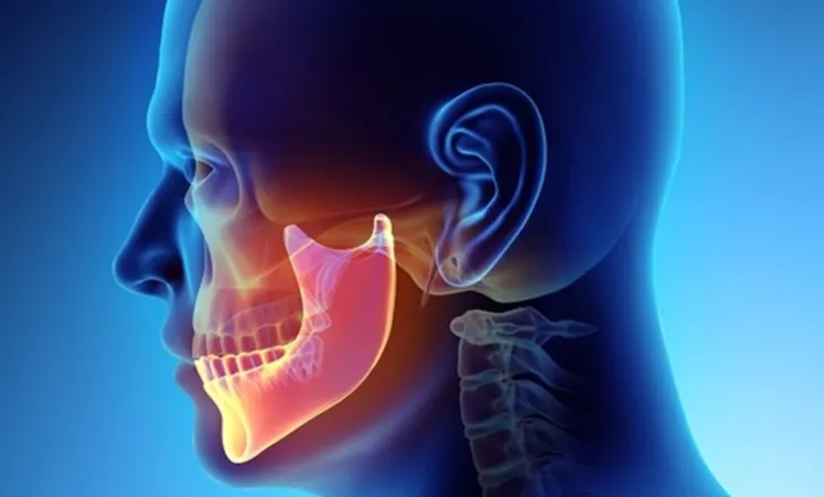 TMJ anatomy diagram